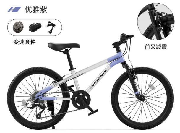 优雅紫